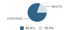 Rio Costilla Elementary School Student Race Distribution