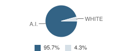 Owyhee Elementary School (All Nv & Idaho Only) Student Race Distribution