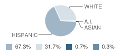 West Wendover High School (Junior / Senior) Student Race Distribution