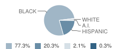 East Harlem Village Academy Charter School (Ehvacs) Student Race Distribution