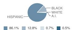 Middle School (Ms) 324 Patria Student Race Distribution