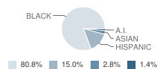 Middle School (Ms) 571 Student Race Distribution