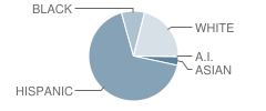 Middle School (M.s.) 577-Conselyea Preparatory School Student Race Distribution