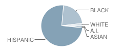 Middle School (M.s.) 582 Student Race Distribution