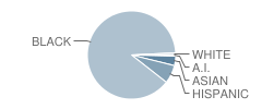 Science Technology & Research High School Student Race Distribution
