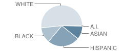 Middle School (M.s.) 260 Clinton School Writers Student Race Distribution