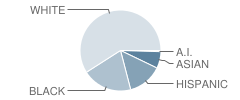 Middle School (M.s.) 243 Center School Student Race Distribution