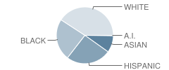 Middle School (M.s.) 245 Computer School Student Race Distribution