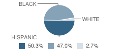 Middle School (M.s.) 256 Academy and Athletic Excellence Student Race Distribution