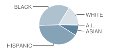 Middle School (M.s.) 224 Manhattan East Center Student Race Distribution