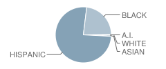 P.S. 1 Courtland School Student Race Distribution