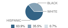 Middle School (M.s.) 203 Student Race Distribution