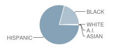 Middle School (M.s.) 302-Luisa Dessus Cruz Middle School Student Race Distribution