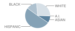 Middle / High School (M.s. / H.s.) 141-Da Stein Riv / Kings School Student Race Distribution