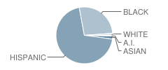 Middle School (M.s.) 391 Student Race Distribution
