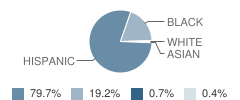 Middle School (M.s.) 399 Student Race Distribution