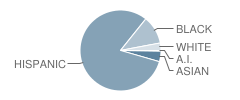 Middle / High School (M.s. / H.s.) 368-Info & Network Technology School Student Race Distribution