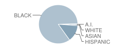 Middle School (M.s.) 267 Math Science & Technology Institute Student Race Distribution