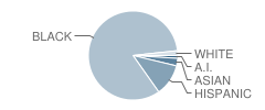 Middle School (M.s.)  2 Student Race Distribution