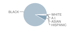 Middle School (M.s.) 394k Student Race Distribution