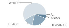 P.S. 372 Children's School (The) Student Race Distribution
