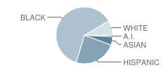 P.S. 396 School Student Race Distribution