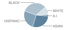 Brooklyn Latin School (The) Student Race Distribution