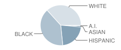 New York State Omh School Student Race Distribution