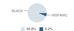 Excellence Girls Charter School Student Race Distribution