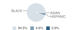 Brooklyn Charter School (The) Student Race Distribution