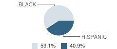 Carl C. Icahn Charter School (The) Student Race Distribution