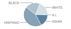 Renaissance Charter School (The) Student Race Distribution