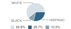 Savannah Elementary School Student Race Distribution