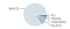 George F. Johnson Elementary School Student Race Distribution