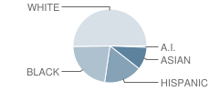 Valley Cottage School Student Race Distribution