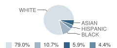 Center Street Elementary School Student Race Distribution