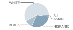 Plattekill Elementary School Student Race Distribution