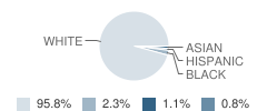 Walton High School Student Race Distribution