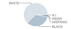 National Inventors Hall of Fame School, Center for (Stem) Learning Student Race Distribution