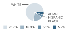 Garfield Middle School Student Race Distribution