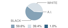 Louis Bromfield (Mojcf) School Student Race Distribution