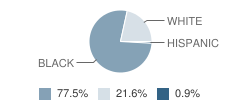 Indian River (Irjcf) School Student Race Distribution