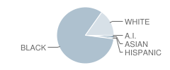 Arts Impact (Aims) Middle School Student Race Distribution