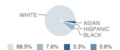 Deer Park High School (Junior / Senior) Student Race Distribution
