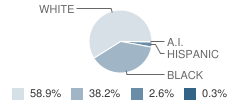 Lincoln Elementary School Student Race Distribution