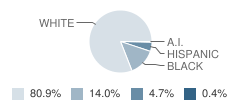 Edgewater Elementary School Student Race Distribution