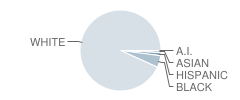 Wilmington High School Student Race Distribution