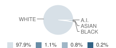Georgetown High School (Junior / Senior) Student Race Distribution