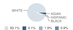 Fairfax Elementary School Student Race Distribution