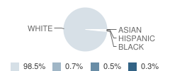 Jefferson Area High School (Junior / Senior) Student Race Distribution
